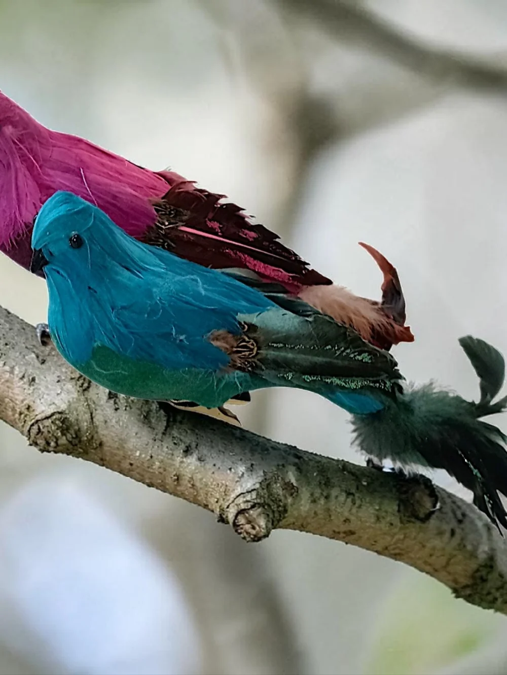 2‎ Vintage Feathered Peacock Bird Ornaments Clip On Large Pink Blue Christmas